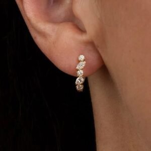 Home silver earring 1